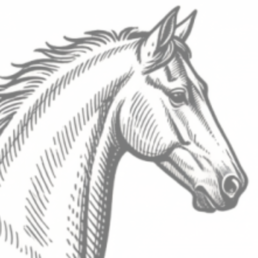 KK Horses